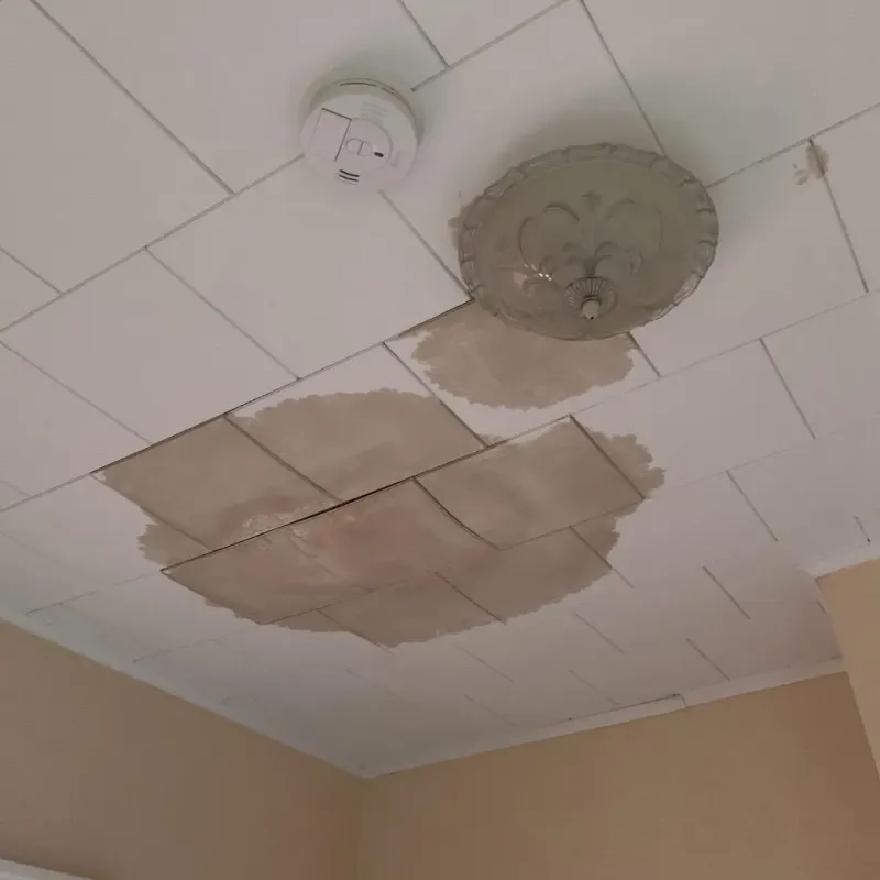 Ceiling Water Damage Repair in Johnson County, TN