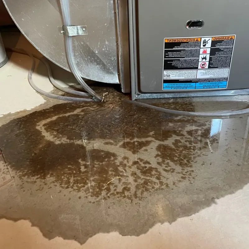 Pipe Burst and Leak Restoration in Johnson County, TN