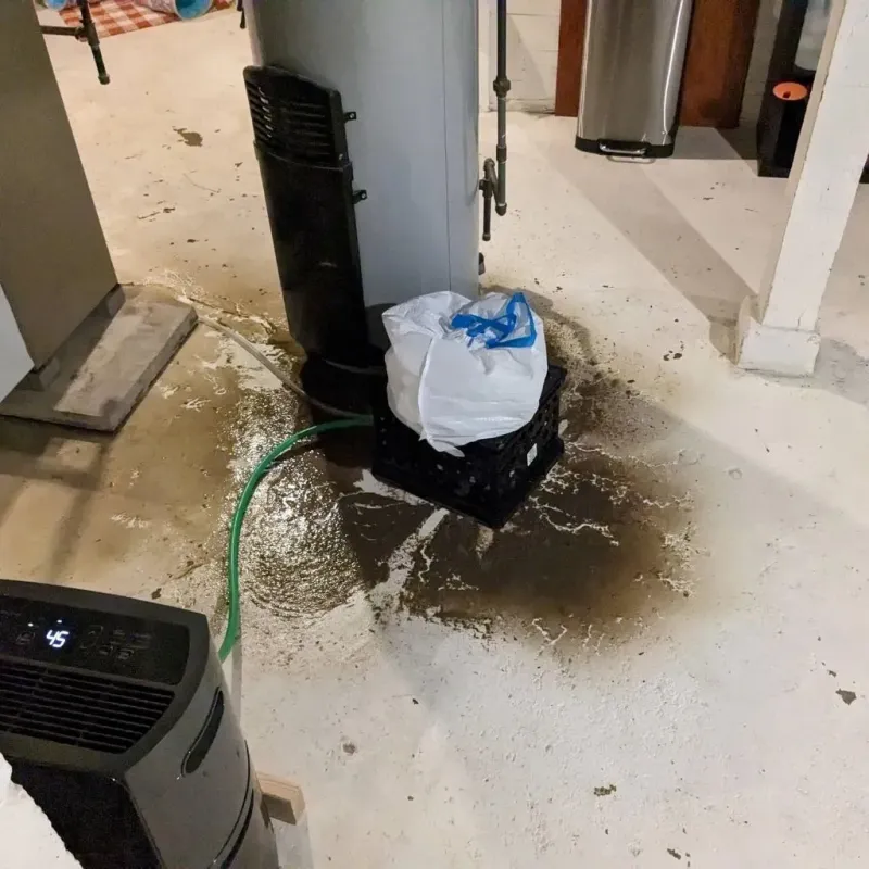 Sewage Backup Cleanup Service in Johnson County, TN